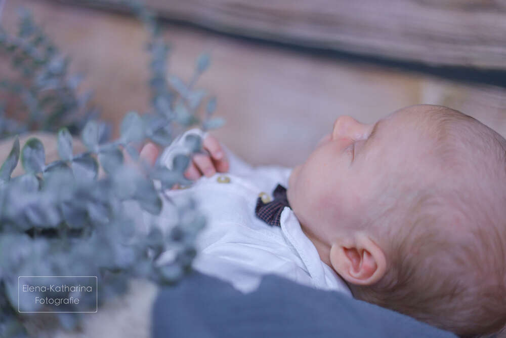 Elena-Katharina Fotografie (Elena-Katharina Fotografie)