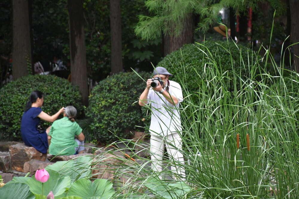 Tungsten - Fotografie seit 1983 (Tungsten - Fotografie seit 1983)