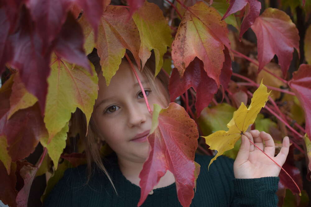 Olga Denisov (Olga Denisov)