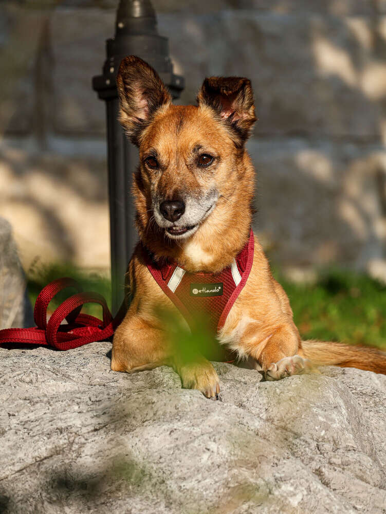 motoframe.visuals (motoframe.visuals)