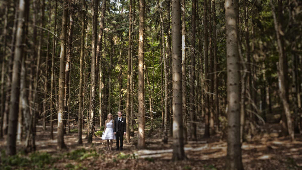 Lichtraum Studio (Lichtraum Studio)