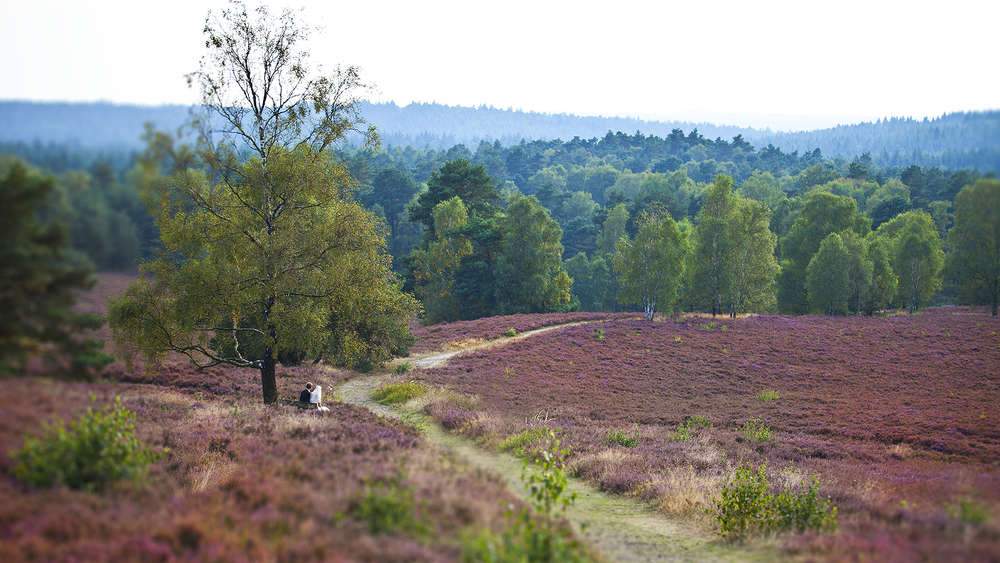 Lichtraum Studio (Lichtraum Studio)