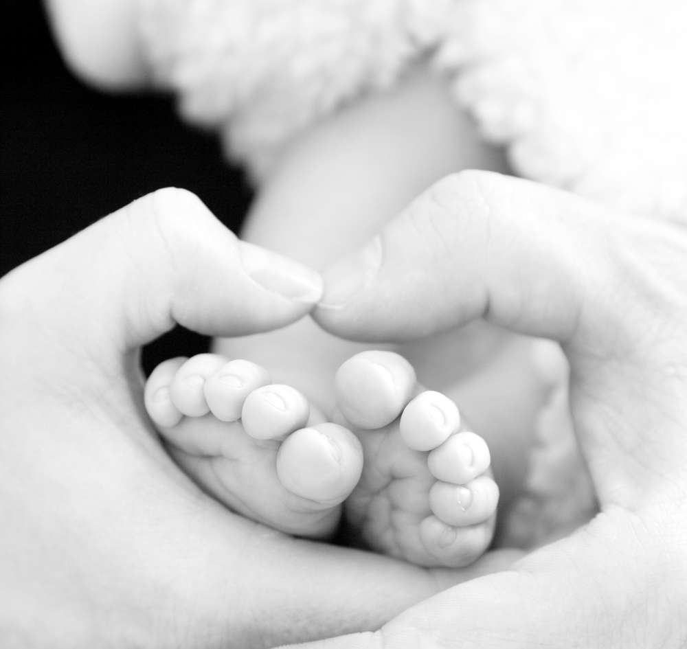 designkomplott. photography (designkomplott. photography)