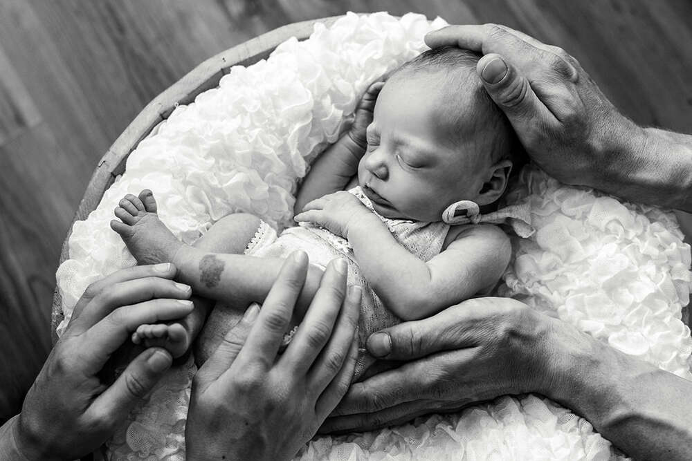 Carolin Brandt - Bilderwelten