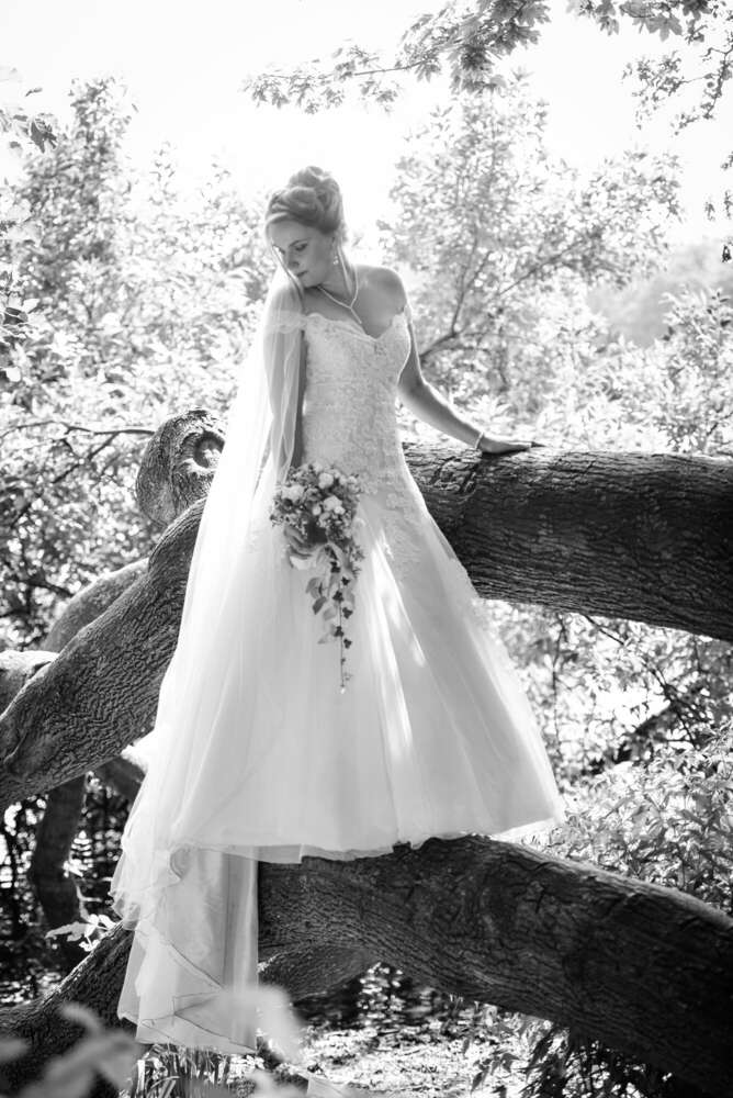 Fotostudio Lüneburger Heide (Fotostudio Lüneburger Heide)