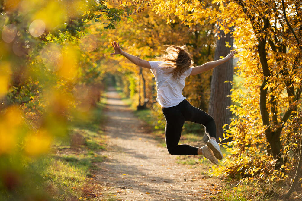 Fotostudio Lüneburger Heide