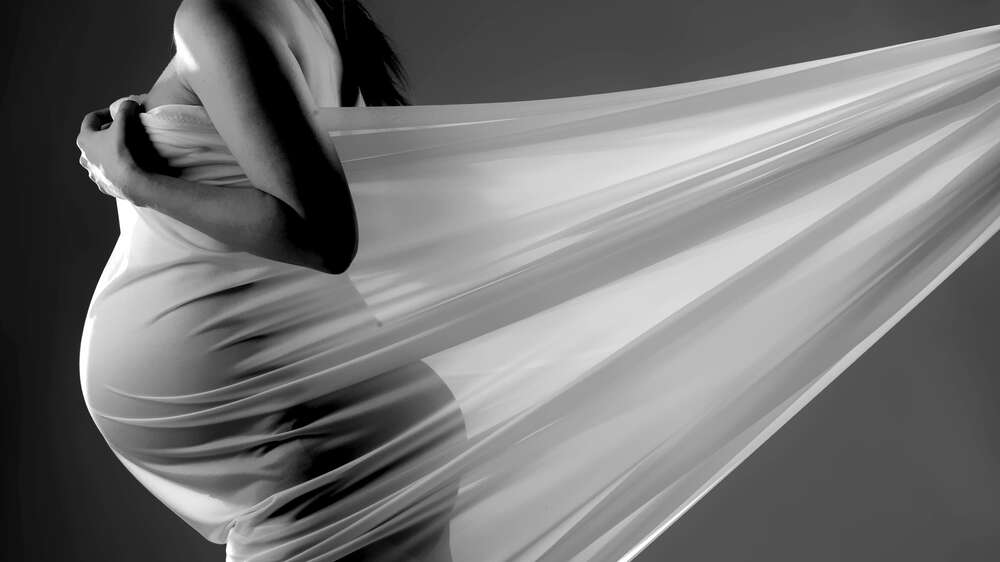 Fotostudio Lüneburger Heide (Fotostudio Lüneburger Heide)