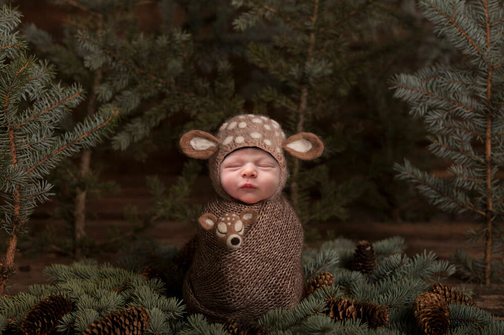Newborn (Fotostudio Lüneburger Heide)