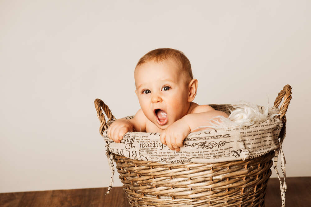 Fotostudio Lüneburger Heide