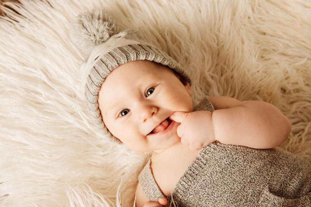 Fotostudio Lüneburger Heide (Fotostudio Lüneburger Heide)