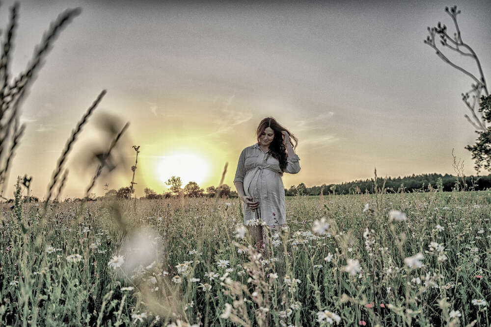 Fotostudio Lüneburger Heide