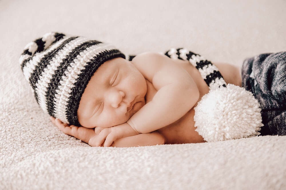 Fotostudio Lüneburger Heide