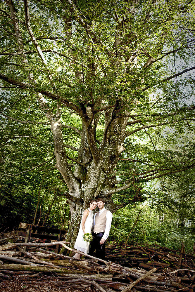 das porträt - fotostudio