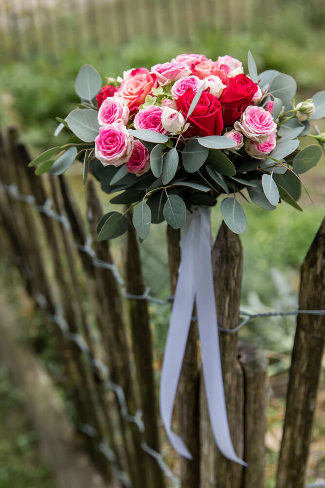 Photography Team (Photography Team)