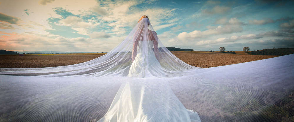 Verena Link Photography (Verena Link Photography)