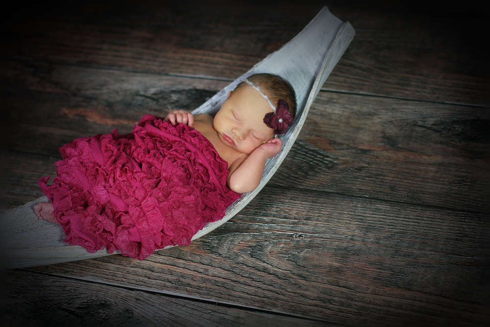 Verena Link Photography (Verena Link Photography)