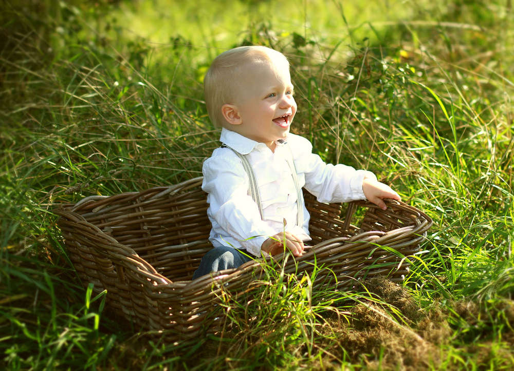 Verena Link Photography (Verena Link Photography)