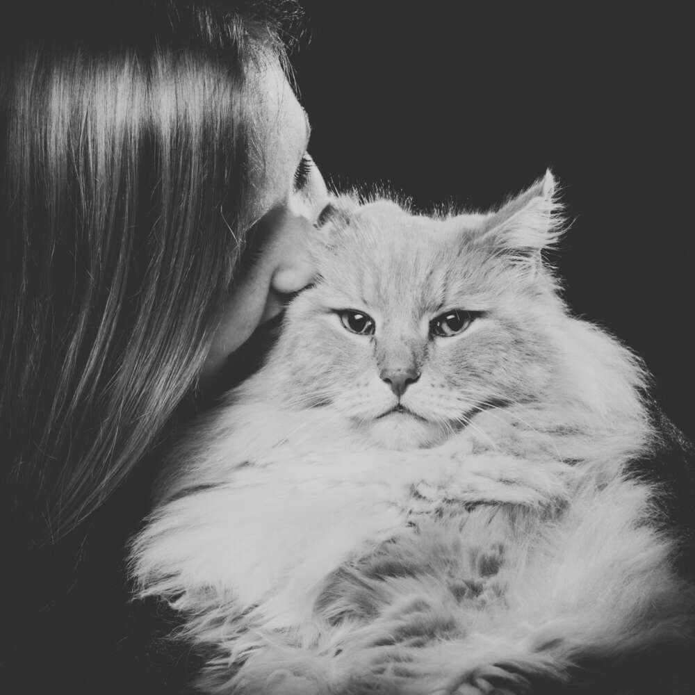 Tiere (Studio157 - kreative Fotografie)