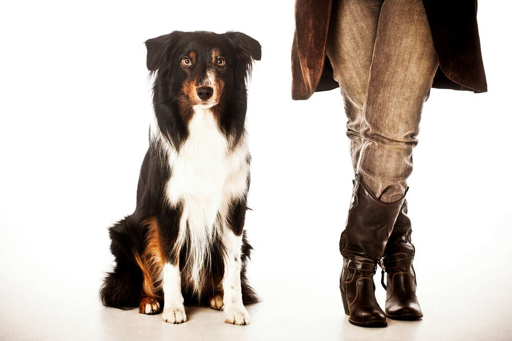 Tiere (Studio157 - kreative Fotografie)