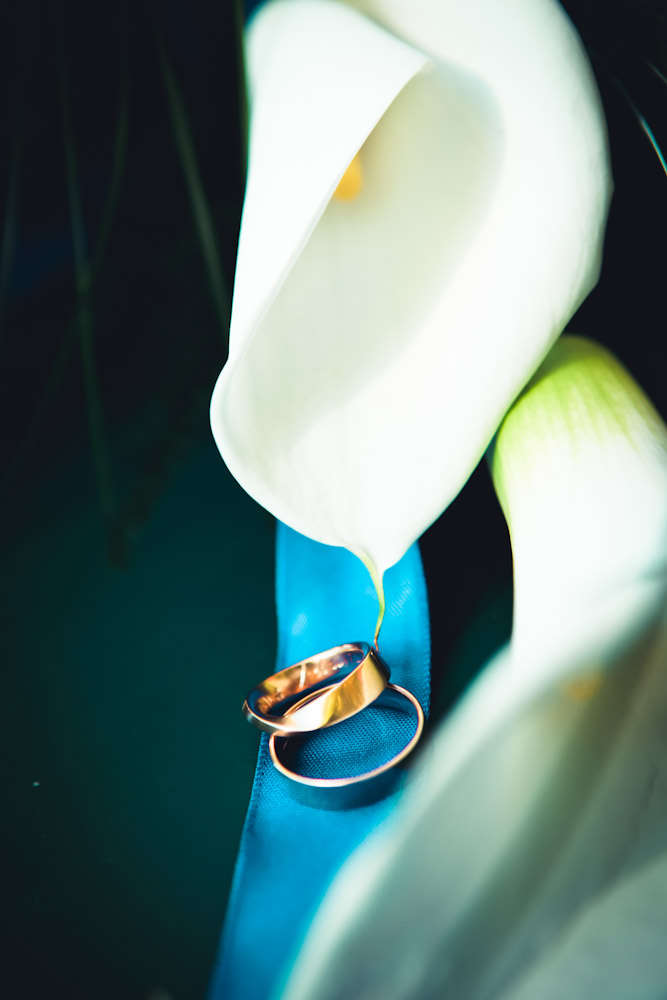 photoresque Bilder, die man gerne zeigt - PhotographenMeisterin