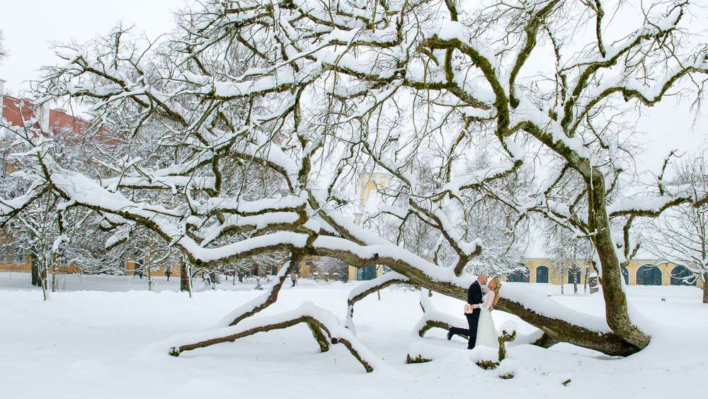 Hochzeiten (Markus Bachmann Fotografie)