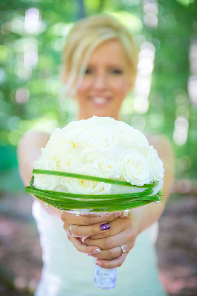 Markus Bachmann Fotografie (Markus Bachmann Fotografie)