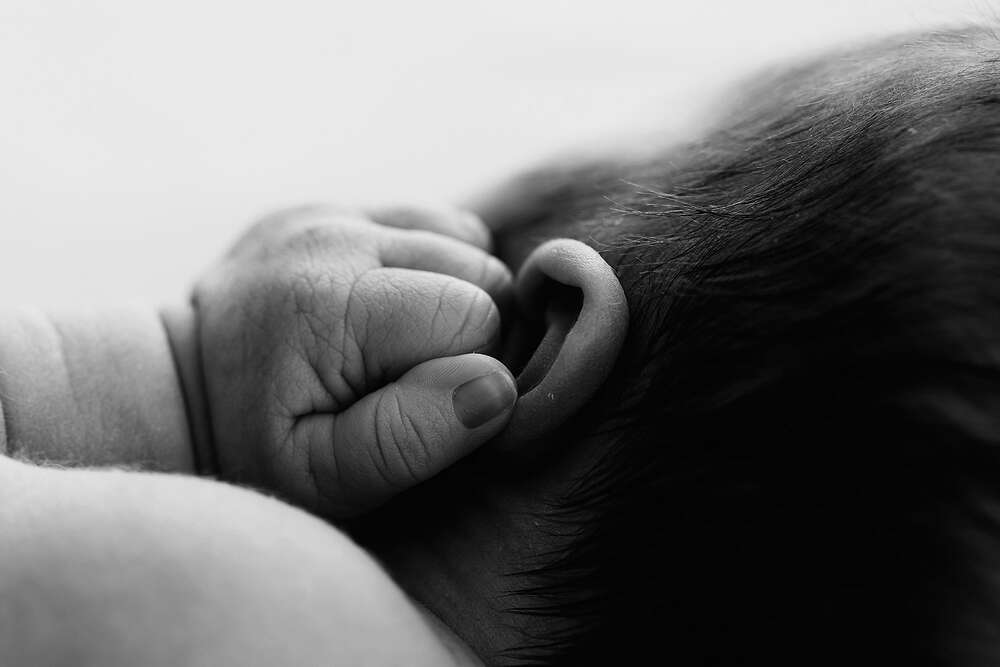 Britta Passmann Fotografie (Britta Passmann Fotografie)