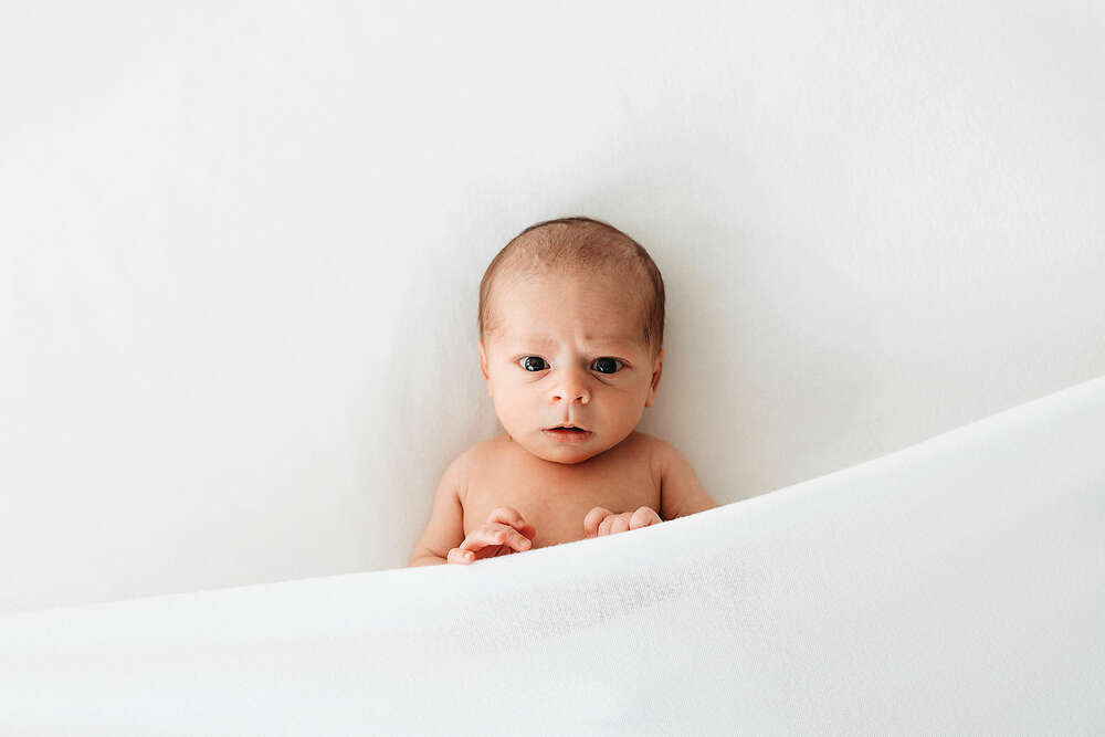 Britta Passmann Fotografie (Britta Passmann Fotografie)