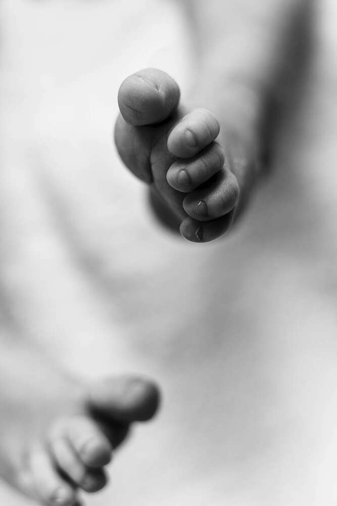 Martina Schwarzer Fotografie (Martina Schwarzer Fotografie)