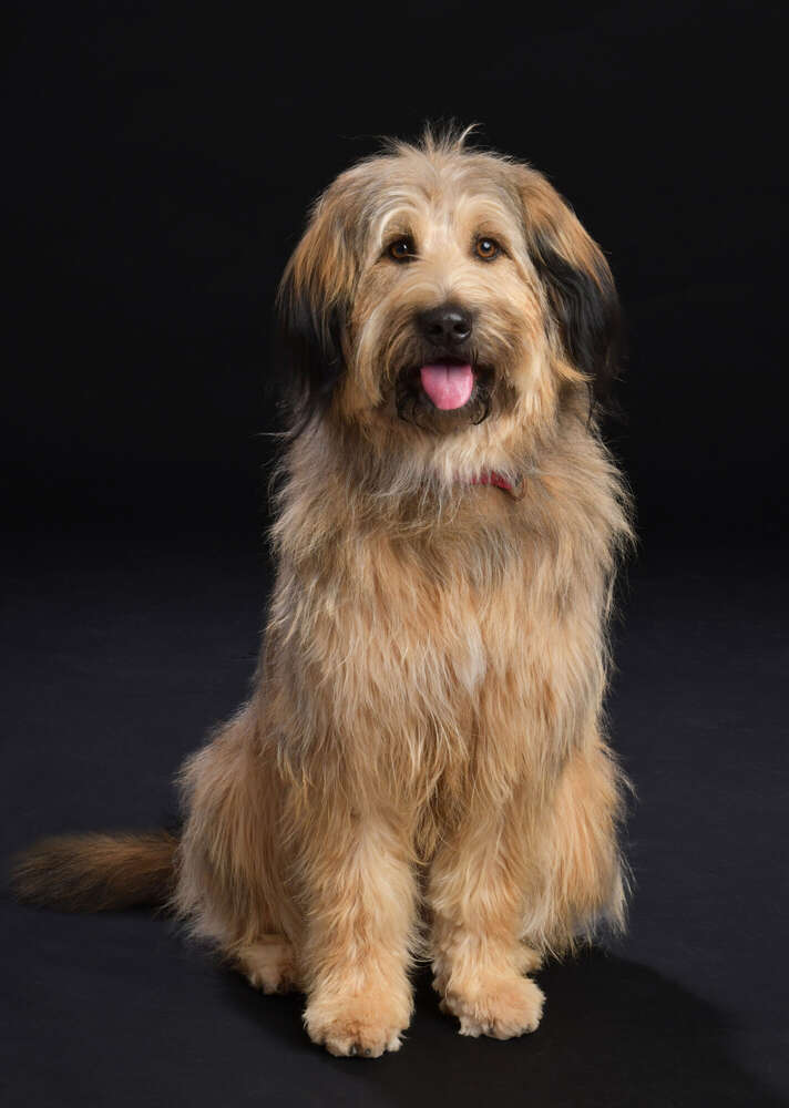 Für meine Familie (fotostudio karl)