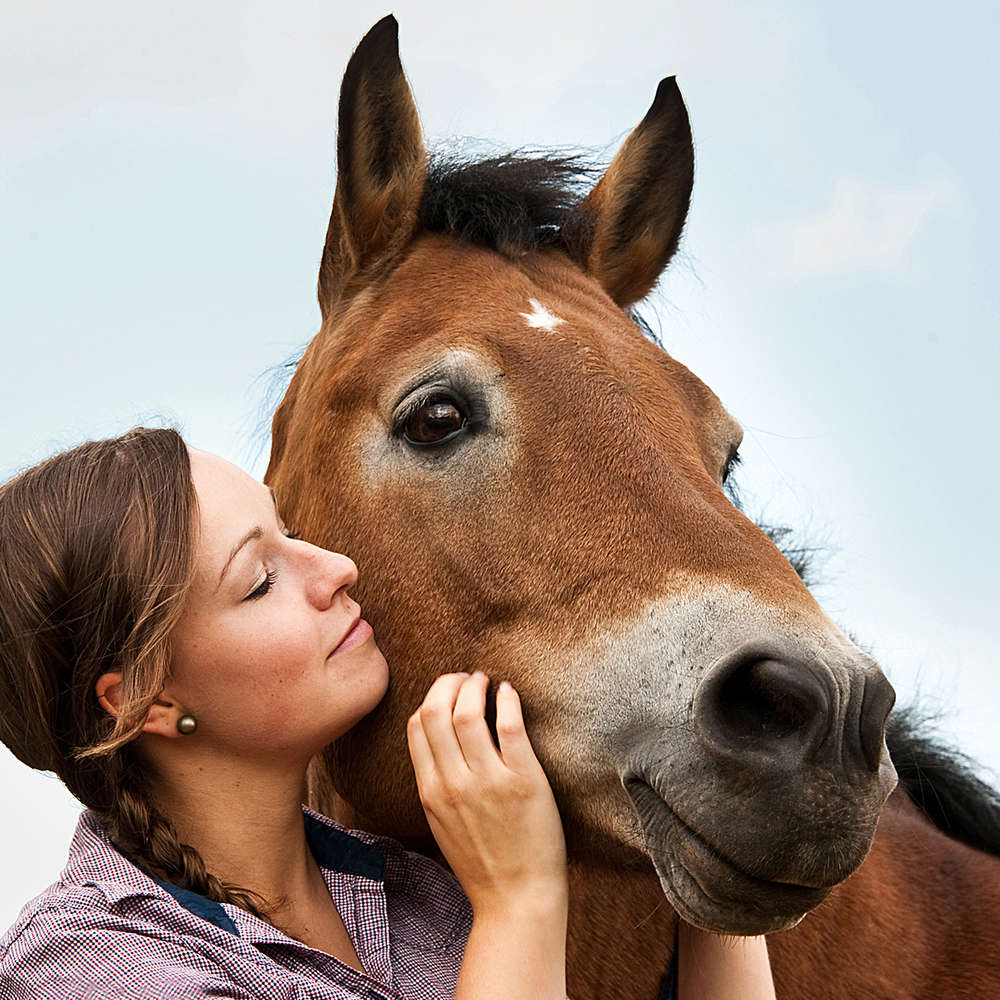 Foto-Atelier Schild-Vogel (Foto-Atelier Schild-Vogel)