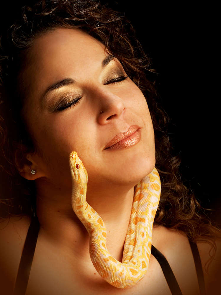 Foto-Atelier Schild-Vogel (Foto-Atelier Schild-Vogel)