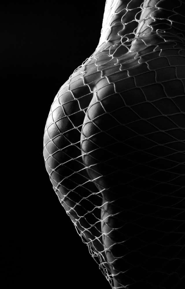 Foto-Atelier Schild-Vogel (Foto-Atelier Schild-Vogel)