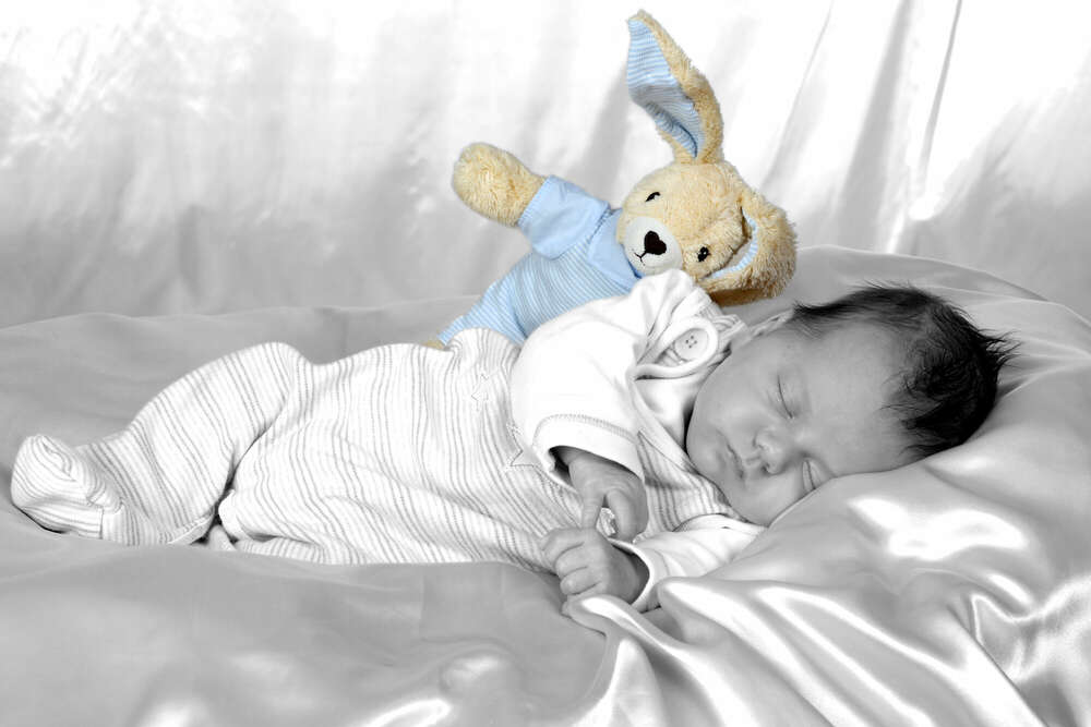 FotoStudio Silvia Schuler (FotoStudio Silvia Schuler)