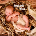 Foto-Studio Peter