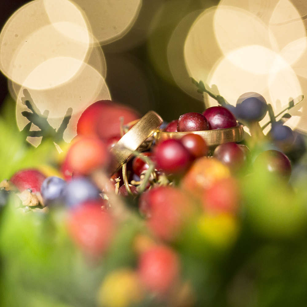 Winterhochzeit | Ringe im Licht (Lina Loos Fotografie)
