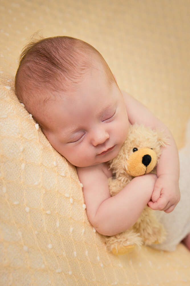 Little cutie (Melanie Posner Fotografie)