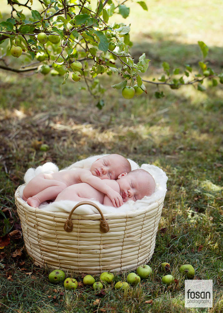 Fosan Photography Sandra Büttner (Fosan Photography)