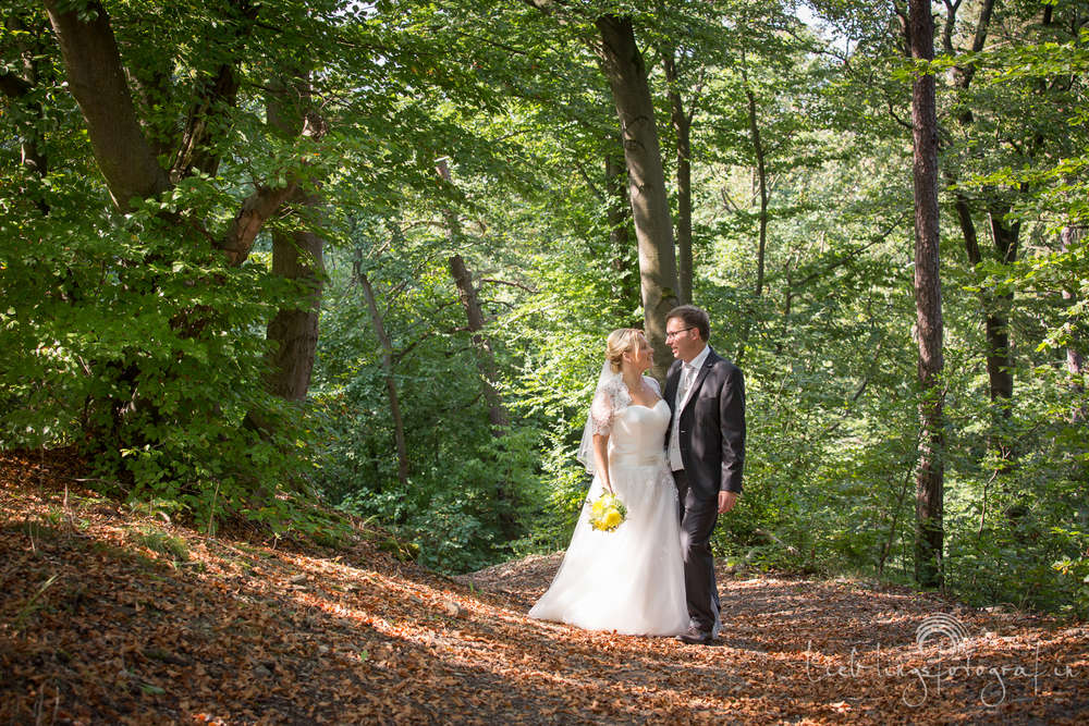 Lieblingsfotograf.in