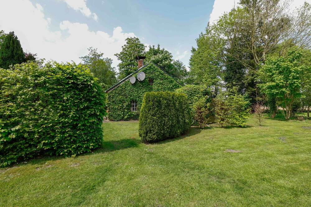 Garten einer Immobilie (Silke Heyer Photographie)