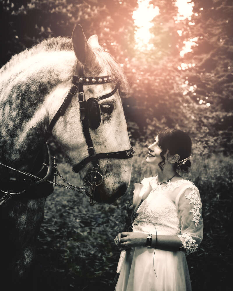 Das Meisterstudio Aurelia Schulz (Das Meisterstudio Aurelia Schulz)