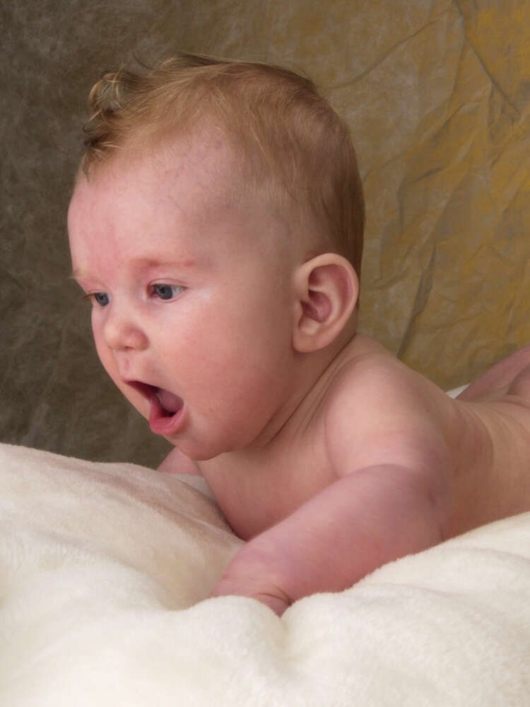 Nordmann Fotografie (Nordmann Fotografie)