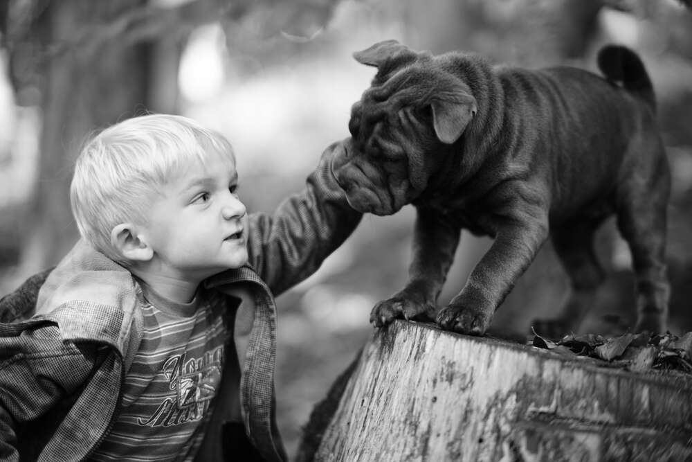 a boy and his dog (scala3 // fotostudio)