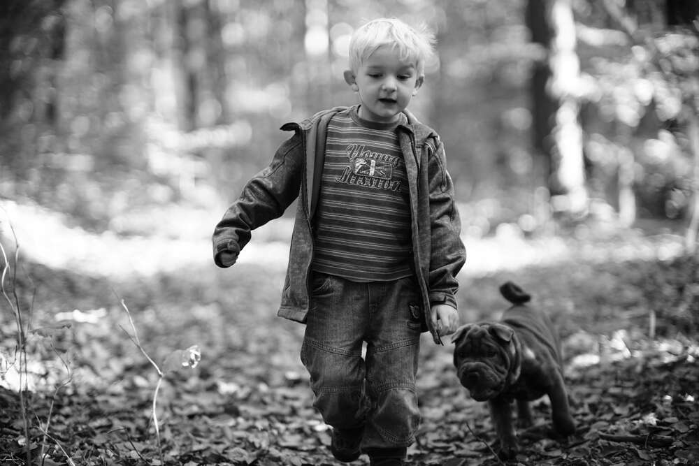 a boy and his dog (scala3 // fotostudio)