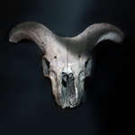 Christoph Ruhrmann Fotografie