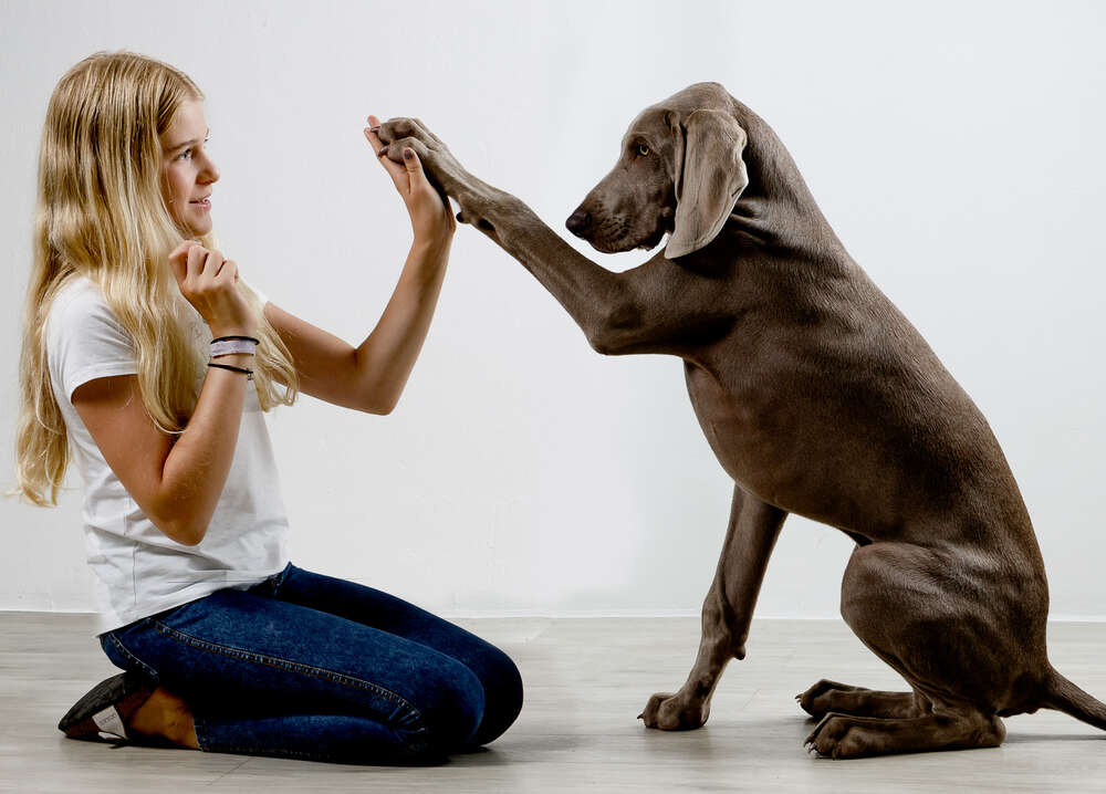 Tierfoto (die-fotografin-aachen.de)