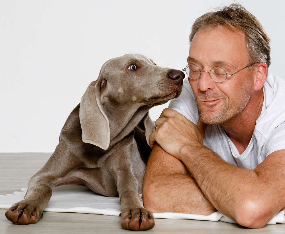 Tierfotografie (die-fotografin-aachen.de)