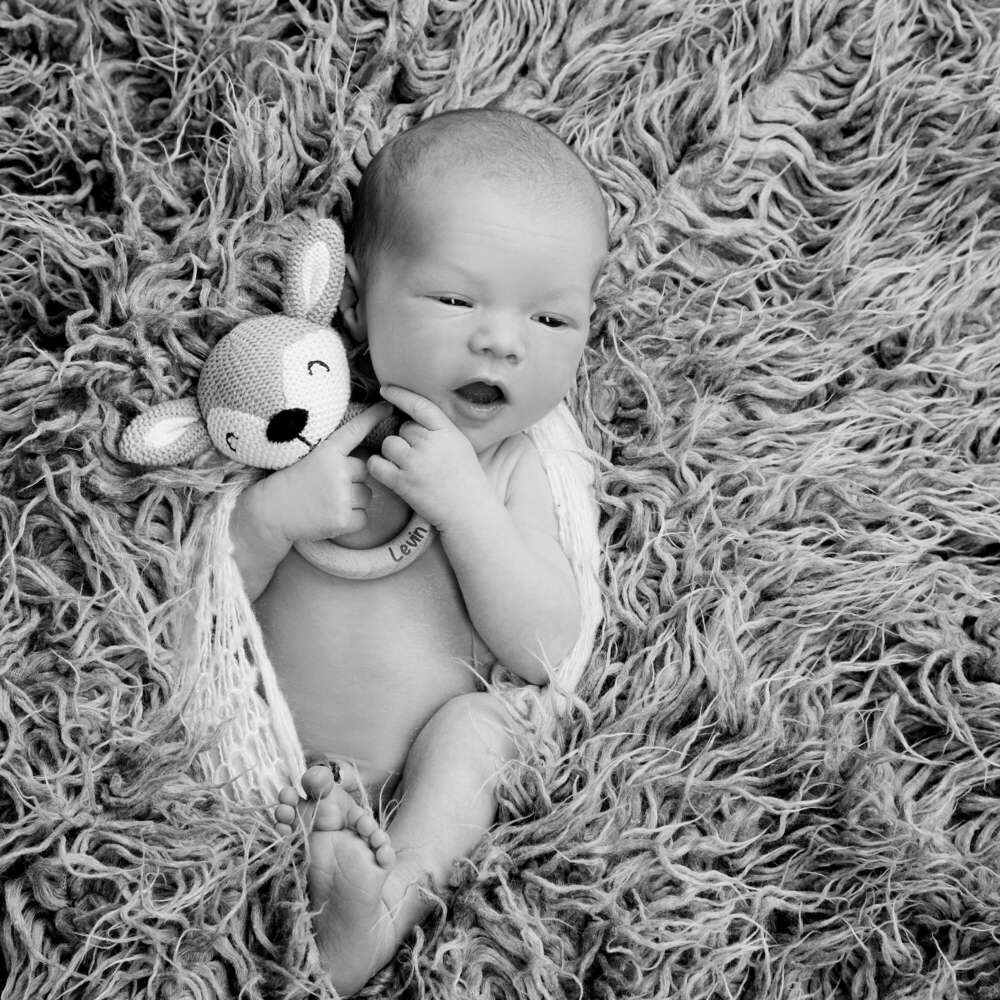 Fotostudio Zander (Fotostudio Zander)