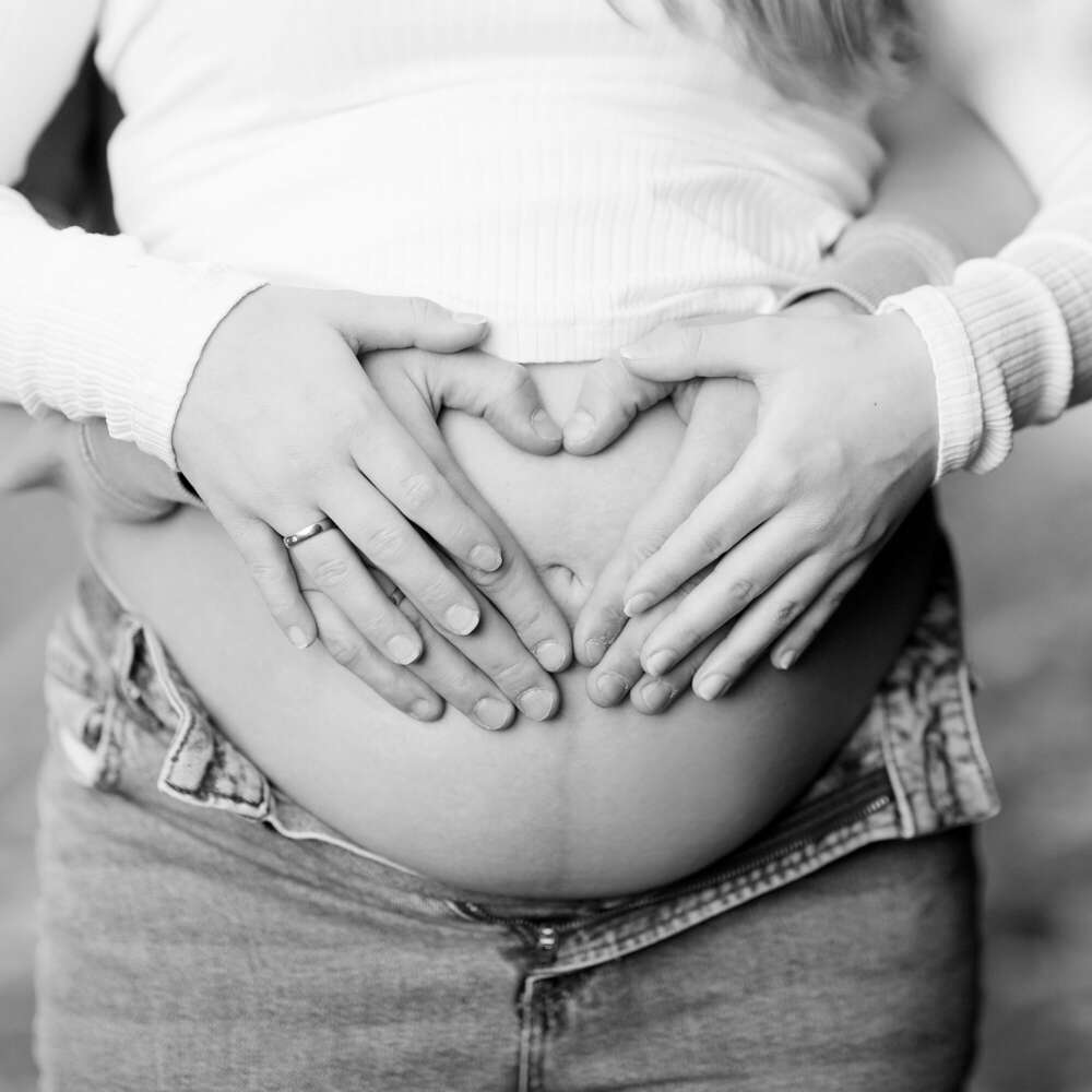 Fotostudio Zander (Fotostudio Zander)