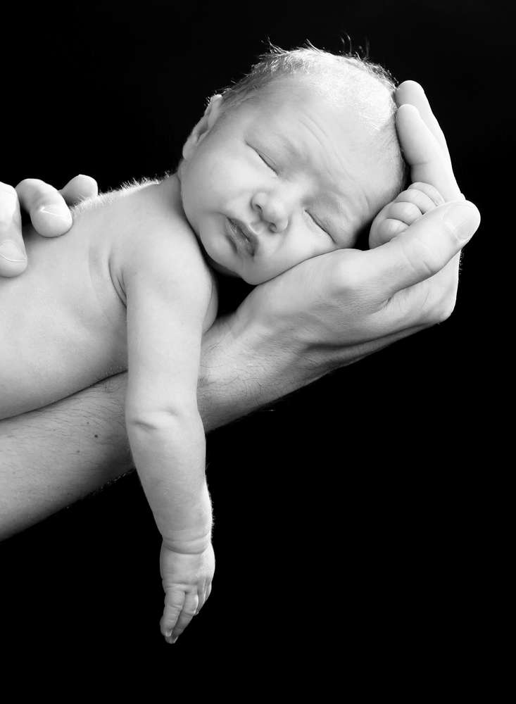 Fotostudio Zander (Fotostudio Zander)